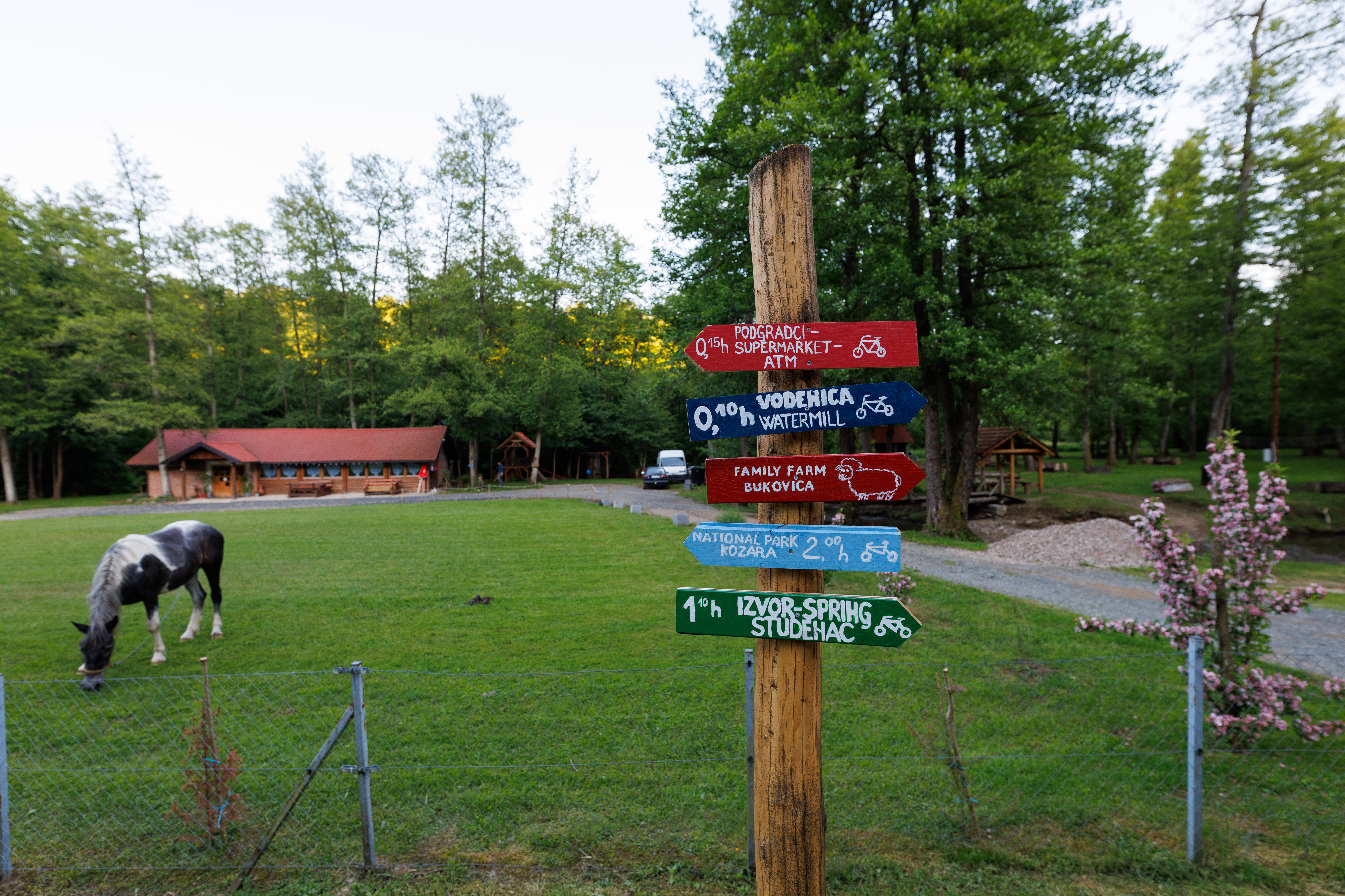 Hiking trail near Camp Bukovica