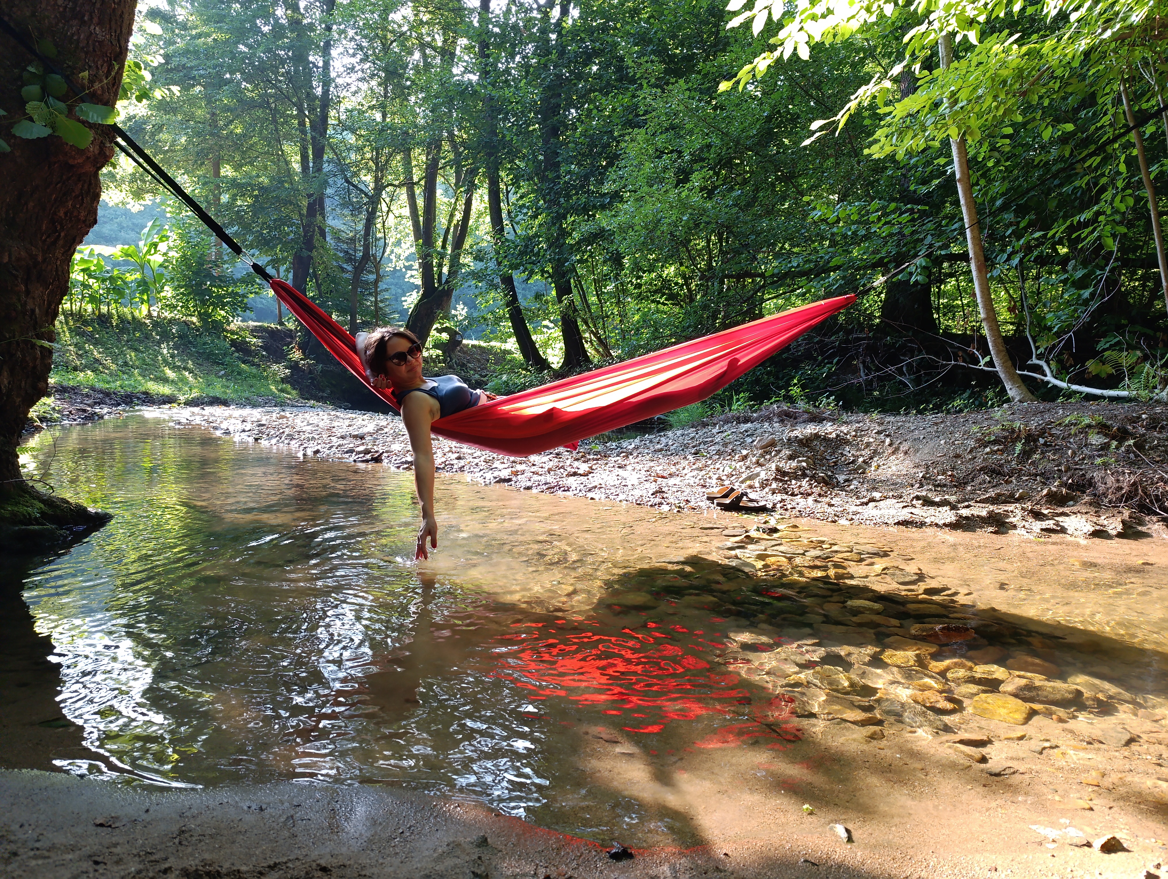 Hammock between the trees